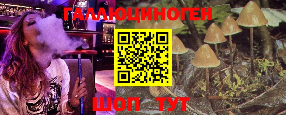 Псилоцибиновые грибы GOLDEN TEACHER  Вход с VPN  Псилоцибиновые грибы ЛСД  Красногорск 